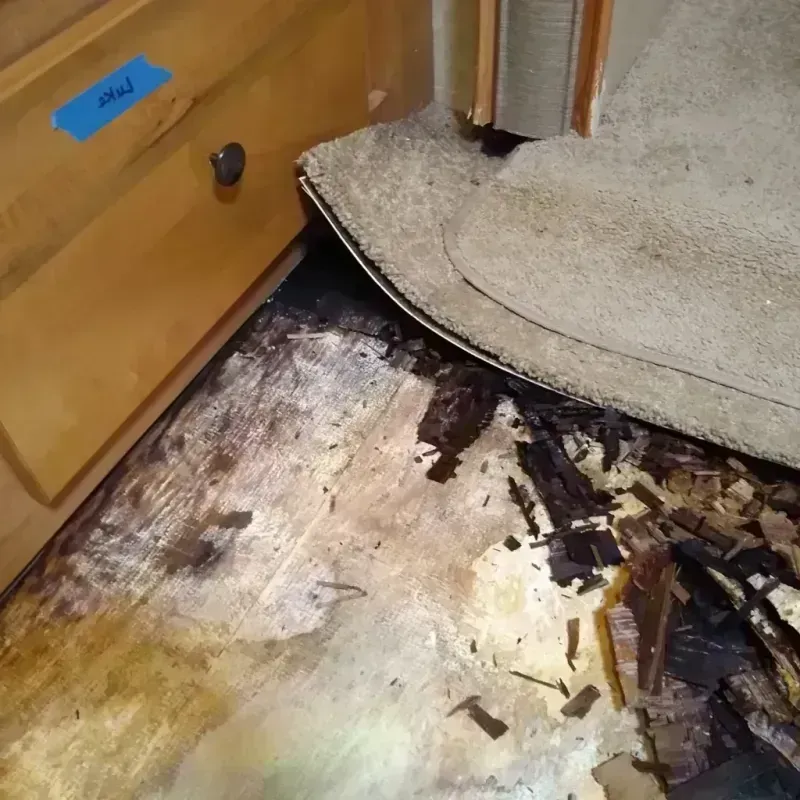 Wood Floor Water Damage in Bellaire, MI